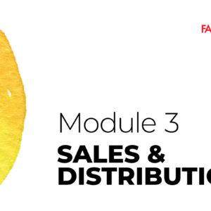 Module 3 - Yellow: Sales (7 STEPS TO YOUR START-UP)